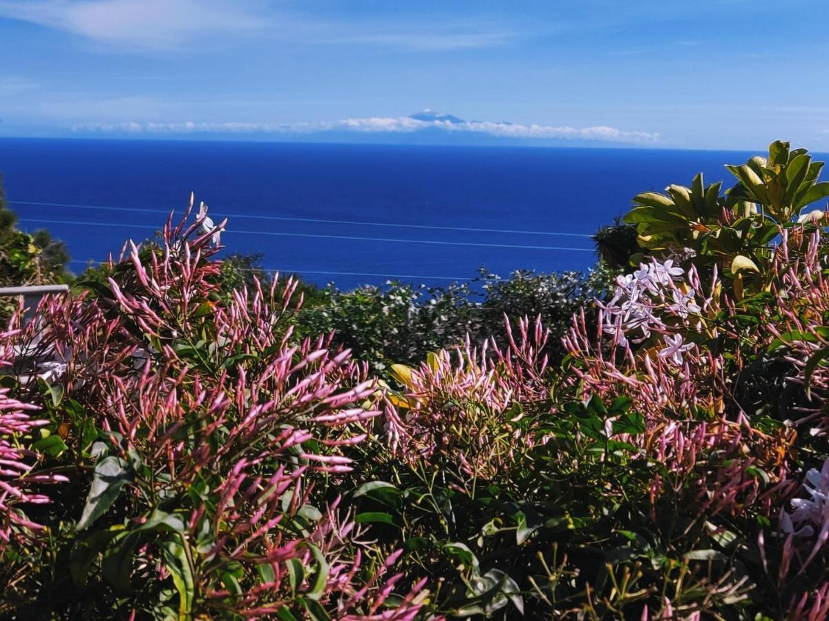 Monte de BrenaCasa Roberta别墅 外观 照片