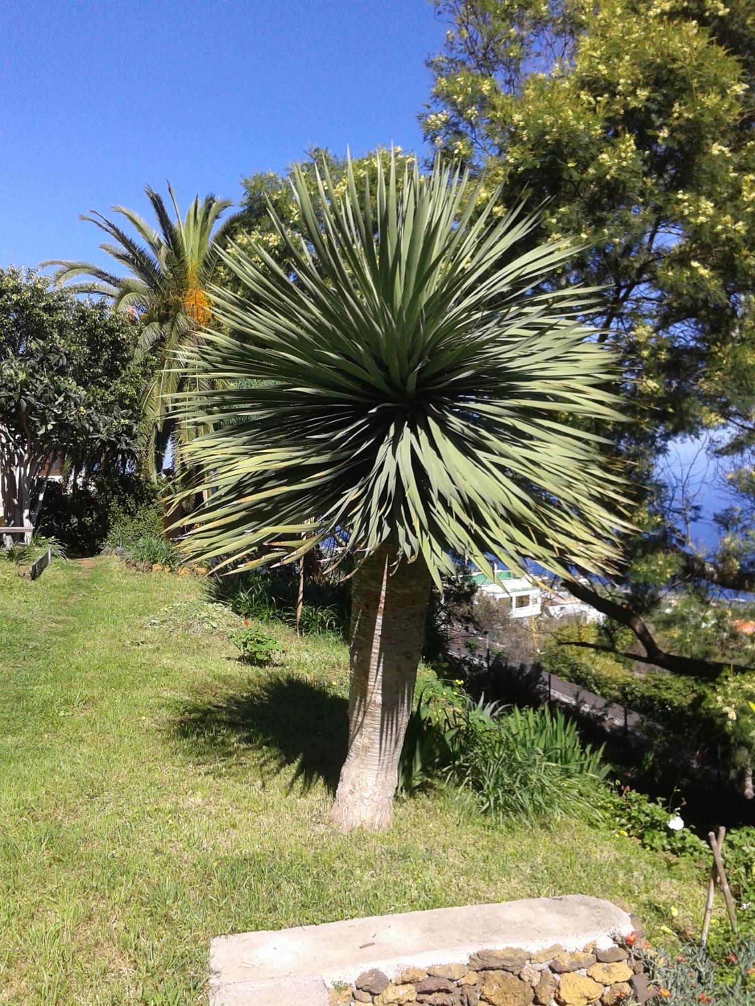 Monte de BrenaCasa Roberta别墅 外观 照片